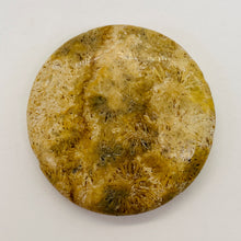 Load image into Gallery viewer, 1 Fossilized Coral 35mm Coin Pendant Bead 9156