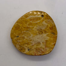 Load image into Gallery viewer, Fossilized Coral Round Pendant Bead | 41x40x7mm | Beige Orange |