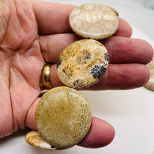 Load image into Gallery viewer, Fossilized Coral 35mm Coin Pendant Bead Strand 109156