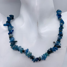 Load image into Gallery viewer, Kyanite Strand Chip Beads | 11x8x5 to 7x5x4mm | Blue | 200 Beads |