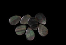 Load image into Gallery viewer, 7 Tahitian Mother of Pearl Shell Flat Briolette Beads 9911