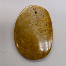 Load image into Gallery viewer, Fossilized Coral Oval Pendant Bead | 58x41x6mm | Beige Orange |