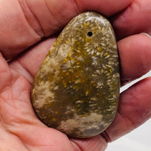 Load image into Gallery viewer, Fossilized Coral Teardrop Pendant Bead | 60x42x8 | Gray White | 1 Bead |