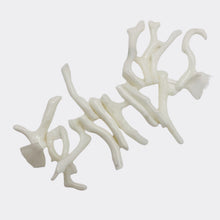 Load image into Gallery viewer, Coral Branch Beads | 26x3 to 19x2mm | White | 15 Beads |