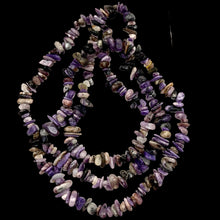 Load image into Gallery viewer, Charoite Strand Chip | 32" Long | 11x8x5 to 7x5x4mm | Purple | 200 Beads |