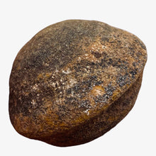 Load image into Gallery viewer, Moqui Marble Shaman Stone 83g Display Specimen | 42x35mm | Brown | 1 Specimen |