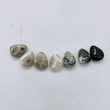 Load image into Gallery viewer, Rare 7 (7) Beautiful top Drilled Ocean Jasper Teardrop Beads 001297