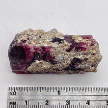 Load image into Gallery viewer, Rubellite Crystal Natural 31g Display Specimen | 44x22x20mm | Dark Pink |
