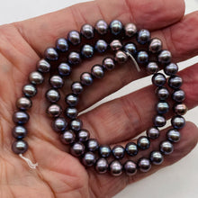 Load image into Gallery viewer, Spectacular Natural Forget-Me-Not Hued 6.5mm Freshwater Pearl Strand 103079
