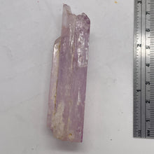 Load image into Gallery viewer, Kunzite 45 Gram Complete Natural Crystal| 71x19x18 | Lavender| Display Specimen|