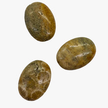 Load image into Gallery viewer, 3 Fossilized Coral Focal Oval Beads 8970