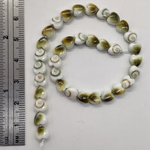 Load image into Gallery viewer, Shiva Shell Half Strand Heart Cut Beads | 6x3mm | White, Tan | 35 Beads