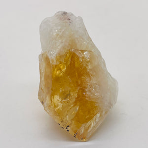 Citrine Crystal Point Natural Specimen | 22g | 43x24x22mm | Golden | 1 Specimen|