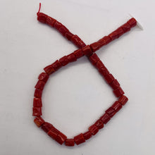 Load image into Gallery viewer, Natural AAA Red Coral Branch Bead Strand | 4x6mm | 44 Beads |