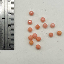 Load image into Gallery viewer, 14 AAA+ Natural Salmon/Pink Coral Beads 2600