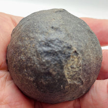 Load image into Gallery viewer, Ridged Moqui Shaman Stone 123g Display Specimen | 44x43mm | Brown | 1 Specimen