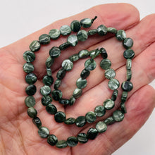 Load image into Gallery viewer, Siberia Russian Seraphinite Coin Bead (34 Beads) 8 inch Strand 10499HS