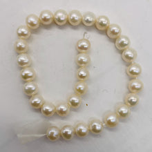 Load image into Gallery viewer, 6.5 x 7mm Cream White FW Pearl 8 inch Strand 001304HS