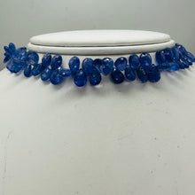 Load image into Gallery viewer, Tanzanite AAA Graduated Briolette Bead Strand | 8" Long | Lavender | 75 Strand |