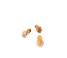 Load image into Gallery viewer, 3 Speckled Peach Chalcedony Rose Bud Beads 009221