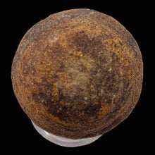 Load image into Gallery viewer, Moqui Marble Shaman Stone 83g Display Specimen | 42x35mm | Brown | 1 Specimen |