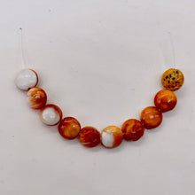 Load image into Gallery viewer, Spiny Oyster Flat Round Half Strand Beads | 8x4mm | Orange White | 25 Beads |