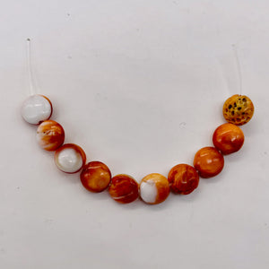 Spiny Oyster Flat Round Half Strand Beads | 8x4mm | Orange White | 25 Beads |