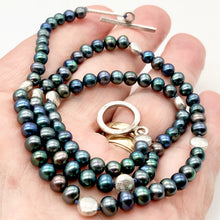 Load image into Gallery viewer, Dramatic Blue Rainbow Peacock Freshwater Pearl Sterling Silver 20" Necklace