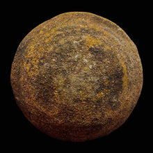 Load image into Gallery viewer, Moqui Marble Shaman Stone 83g Display Specimen | 42x35mm | Brown | 1 Specimen |