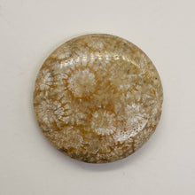 Load image into Gallery viewer, 1 Fossilized Coral 35mm Coin Pendant Bead 9156