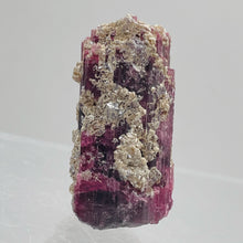 Load image into Gallery viewer, Rubellite Crystal Natural 31g Display Specimen | 44x22x20mm | Dark Pink |