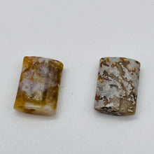 Load image into Gallery viewer, 2 Crazy Lace Agate 14x10mm Rectangle Beads 4584