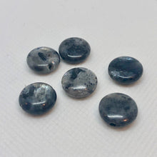 Load image into Gallery viewer, Grey Labradorite 12mm Coin Bead Strand 109558 - PremiumBead Alternate Image 4