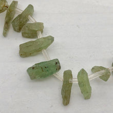 Load image into Gallery viewer, Kyanite Natural Crystal Pendant Bead Strand | 15x4x6 to 32x3x7mm| Green | 40 Bd|
