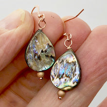 Load image into Gallery viewer, Abalone 14k Gold Filled Drop Earrings | 1 1/4" Long | Rainbow |