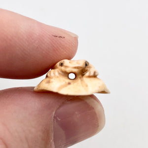 Poised Hand Carved Frog on Lily Pad Bone Bead | 1 Bead | 19x8mm | 7550 - PremiumBead Alternate Image 8