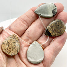 Load image into Gallery viewer, hot-dendritic-jasper-briolette-pendant-bead-strand-33x25x5mm-13-beads Alternate Image 2