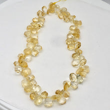 Load image into Gallery viewer, Citrine Faceted Briolette Bead Strand | 10x7 to 13x12x5mm | Golden | 57g |