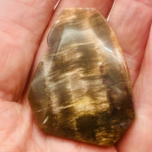 Load image into Gallery viewer, Cracked Fossilized Wood Flat Briolette | 48x40x7mm| Tan/Black| 1 Pendant Bead|