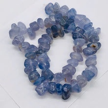 Load image into Gallery viewer, Oregon Holly Blue Chalcedony Agate 76 Grams Nugget Strand| 10x8 15X8 | 62 Bead |