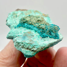 Load image into Gallery viewer, Stunning Dioptase on Chrysocolla Display Specimen | 2.25x1.5x.75" | Green | - PremiumBead Alternate Image 3