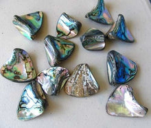 Load image into Gallery viewer, One! Natural Abalone Fan Shaped Pendant 45x35mm Bead - PremiumBead Alternate Image 9