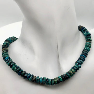Gorgeous Blue Green Gemstone Beads Rondelle 16 inch strand of Chrysoprase 8x4mm - PremiumBead Primary Image 1