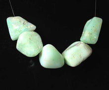 Load image into Gallery viewer, 365cts 5 Designer Natural Chrysoprase (New Zealand Jade) Beads 008491I - PremiumBead Alternate Image 2