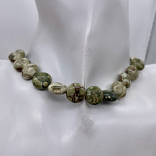 Load image into Gallery viewer, Raintree Rhyolite Jasper 11mm Coin Bead Strand 109538