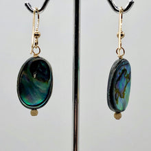 Load image into Gallery viewer, Abalone 14K Gold Filled Drop Earrings | 1 1/4" Long | Blue | 1 Pair Earrings |