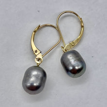 Load image into Gallery viewer, South Sea Pearl 14k Gold Lever Back Drop Earrings | 1" Long | Gray | 1 Pair |