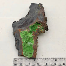 Load image into Gallery viewer, Conichalcite Natural Crystal Display Specimen for Collectors | 2.75x1.75x0.63" |