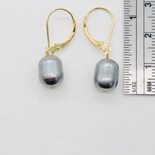 Load image into Gallery viewer, South Sea Pearl Drop 14K Gold Earrings | 1" Long | Silver/Black | 1 Pair |