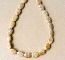 Load image into Gallery viewer, Fab 3 Fossilized Coral Designer Cameo Cut Beads 7384C - PremiumBead Alternate Image 3